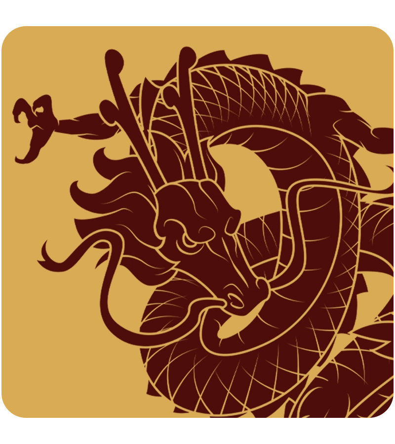 demodragon222.pages.dev favicon